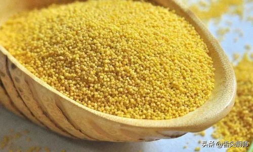 小米這樣吃，蒸一炒香比肉還誘人